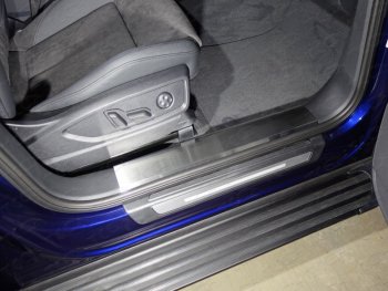 Накладки на пластиковые пороги лист шлифованный, автомобиль без пневмоподвески 2шт, ТСС Тюнинг Audi (Ауди) Q5 (Ку5)  FY (2017-2020) FY дорестайлинг